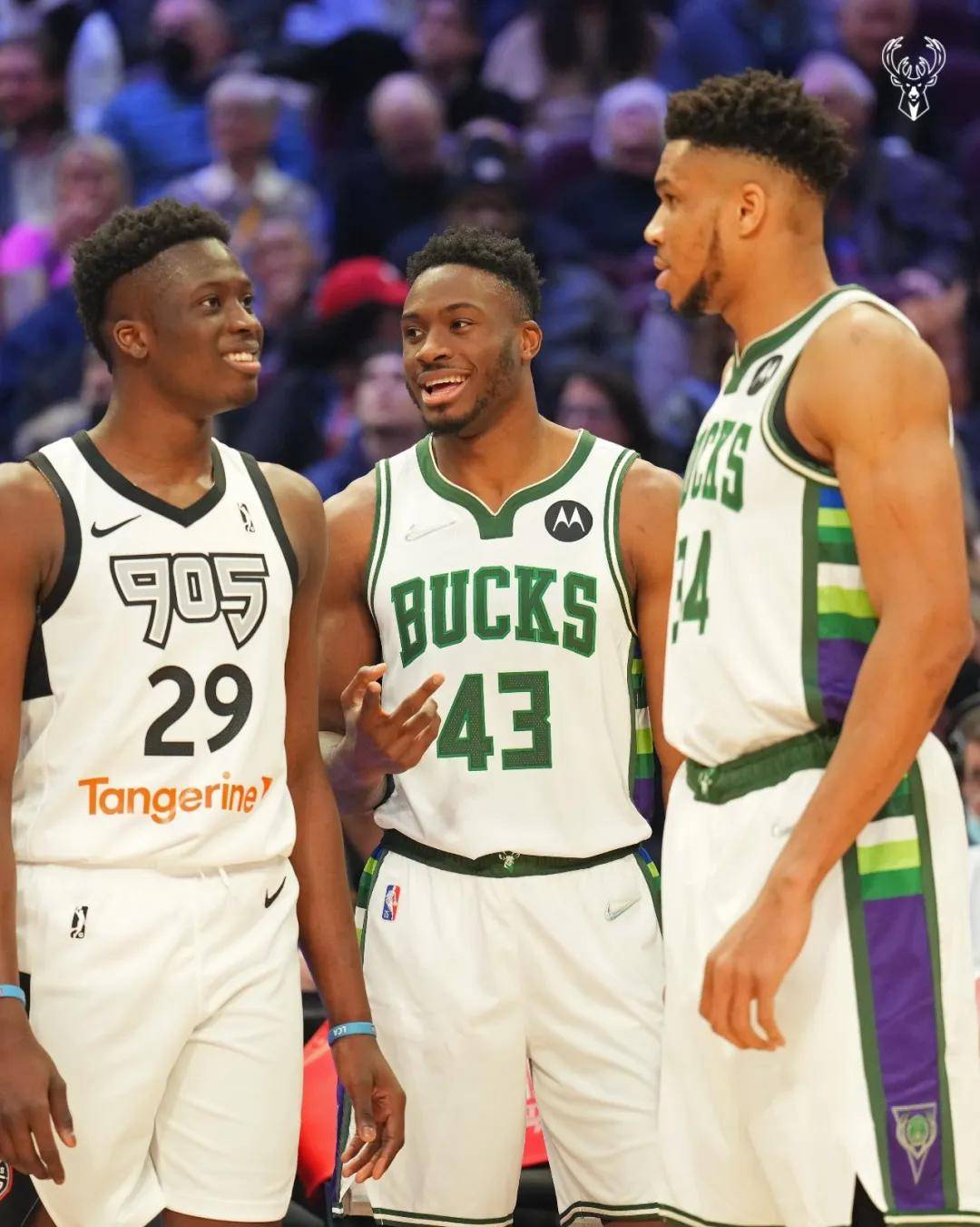 包含雄鹿击败凯尔特人，字母哥单手轻松领军获胜的词条