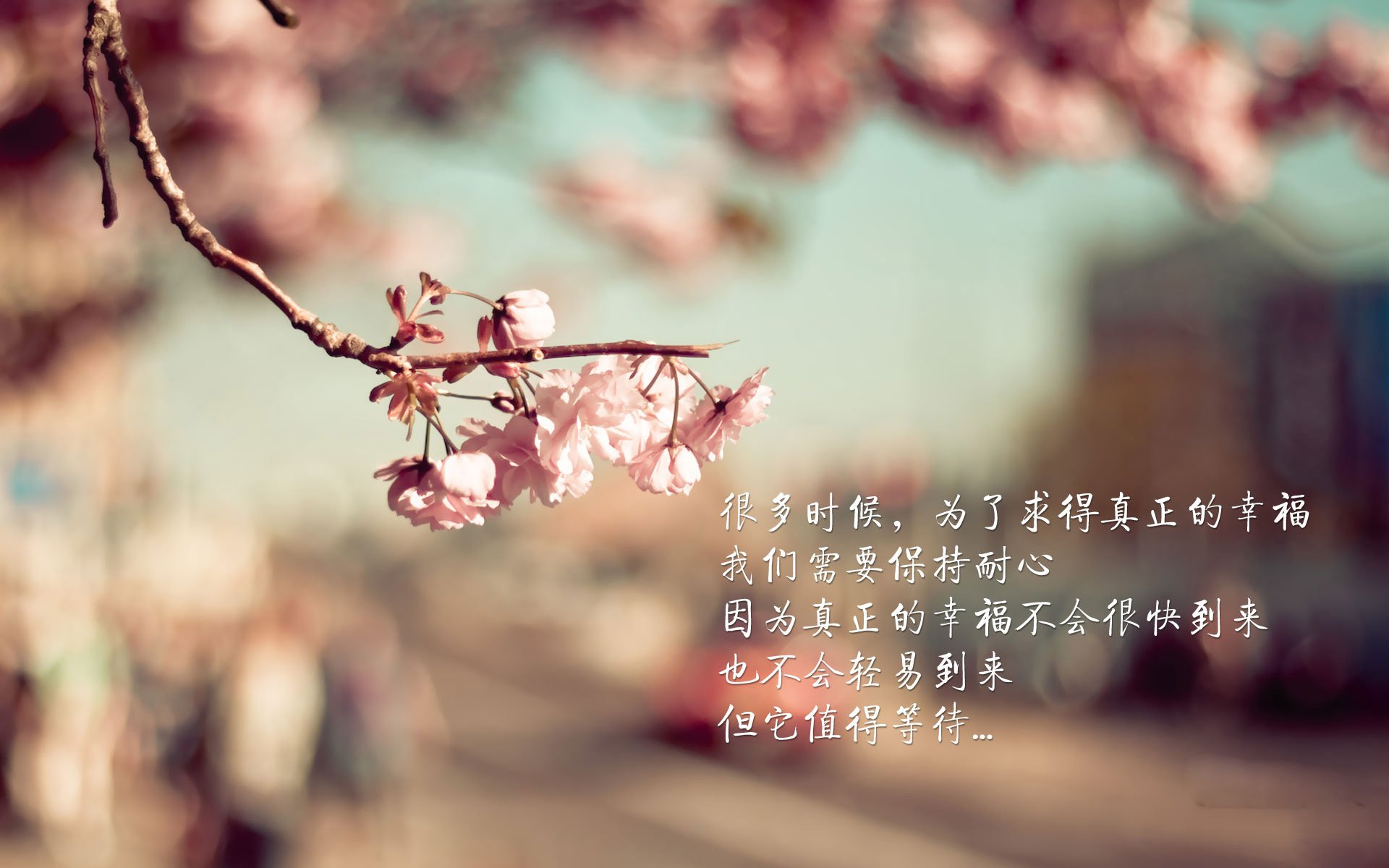 王者封锁与弯道超车，当两种统治力于文明边疆交锋