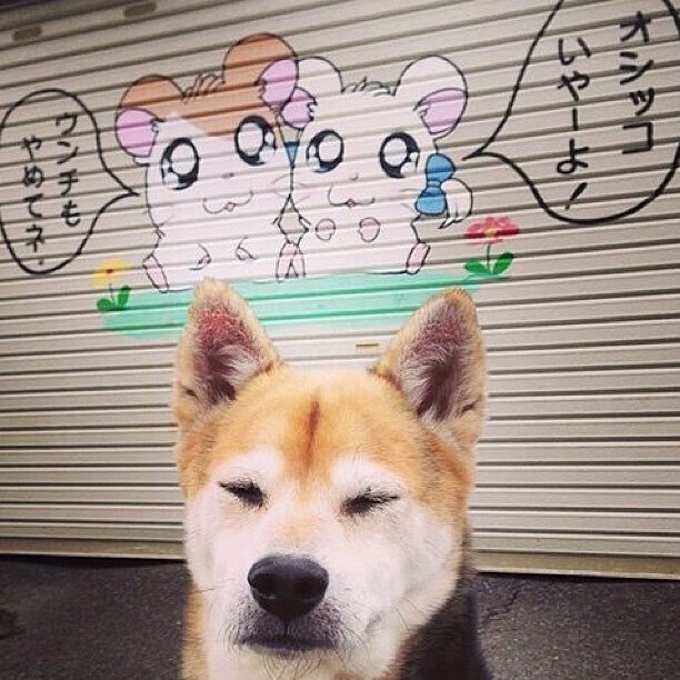 开云下载-晋级与殿堂，霍勒迪的哨响与人生的加时赛