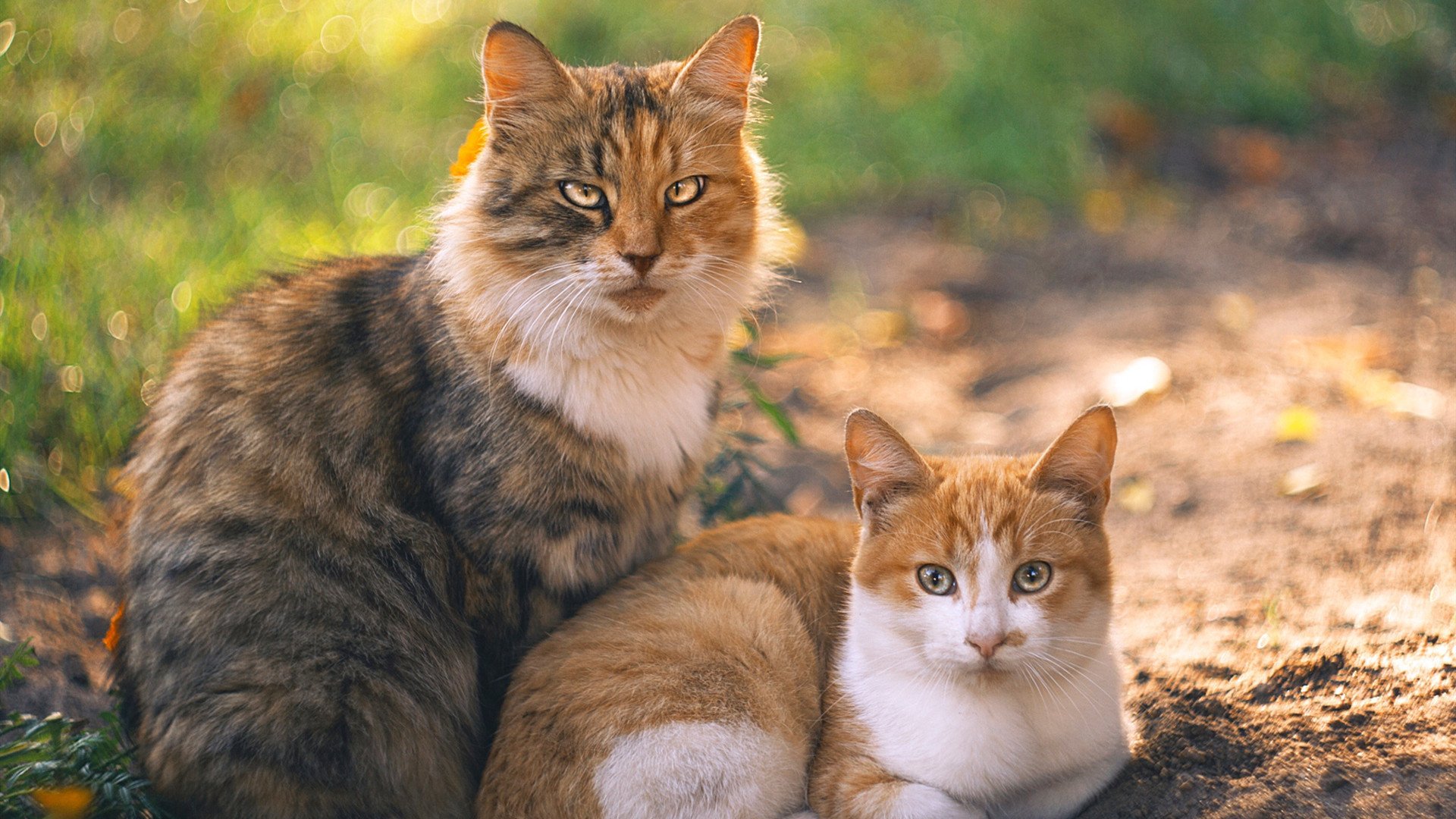 开云体育在线-小贾伦末节三分雨浇灭马刺反扑，步行者客场惊险收割胜利