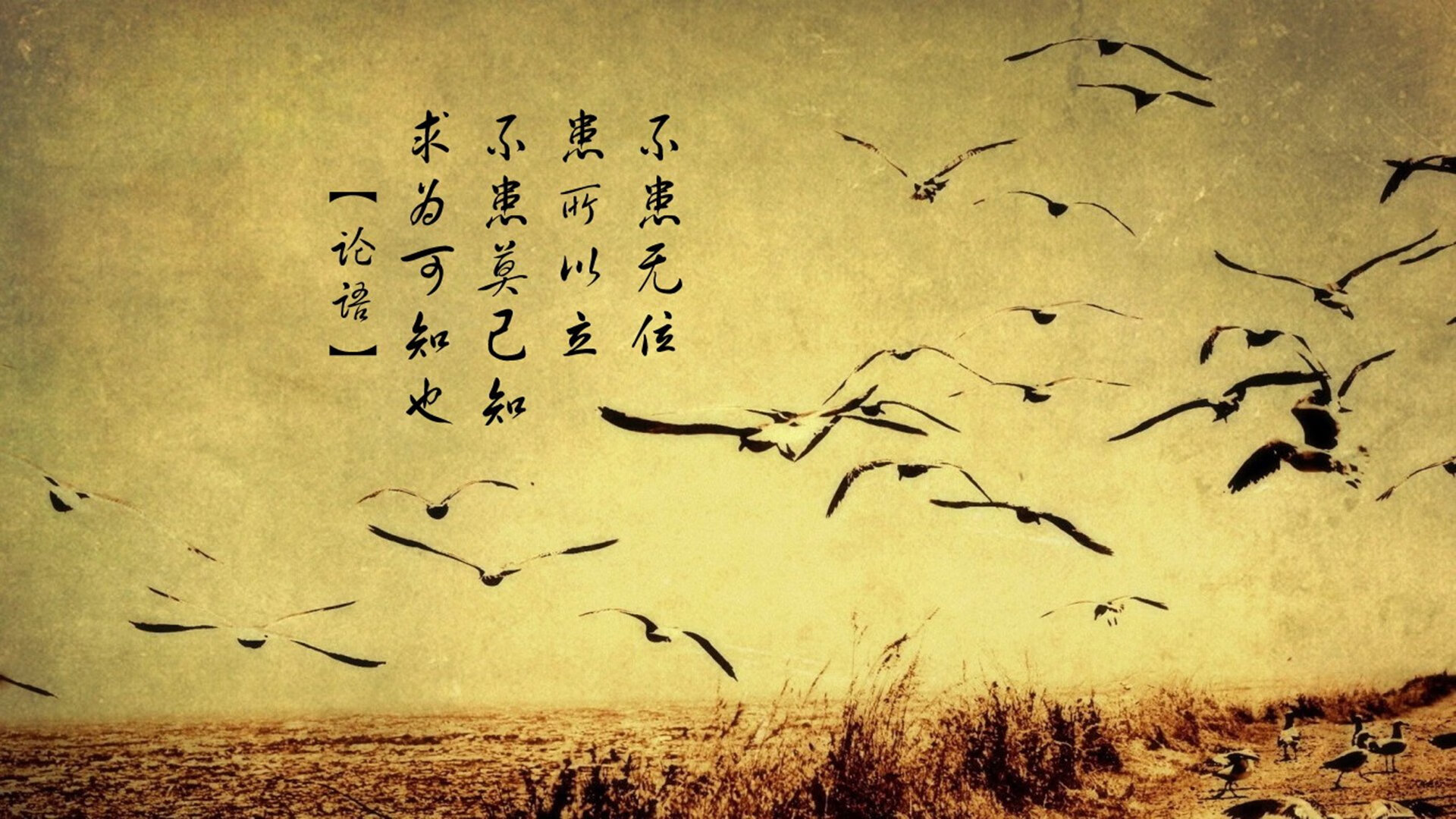 双线逆袭，掘金绝杀爵士之夜，杰伦·格林如何在世界排名的刀锋上接管比赛