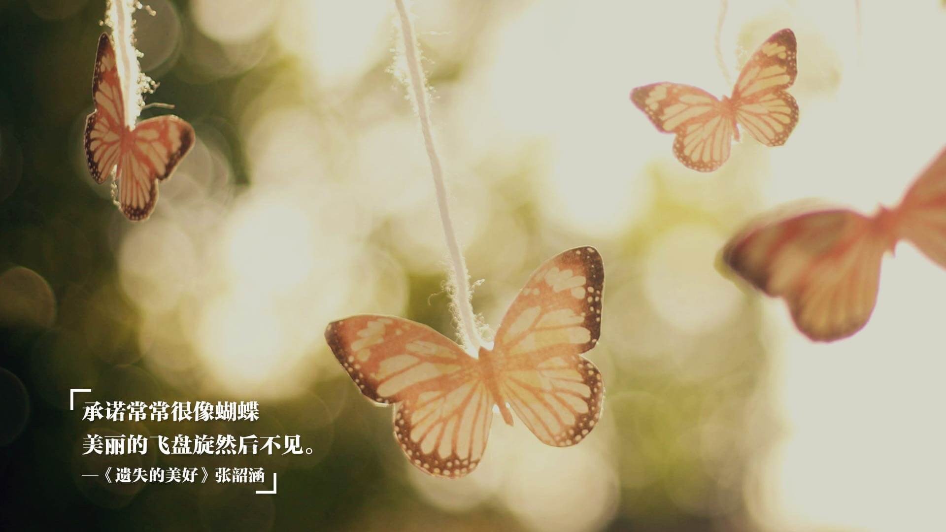 跨界战术风云，从意甲焦点战透视广东队如何以战术压制篮网