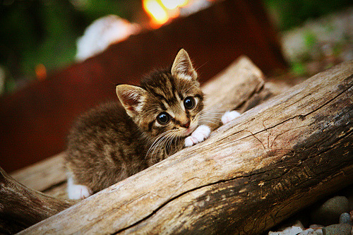 马里斩落摩纳哥！格纳布里一锤定音，上演王者归来戏码