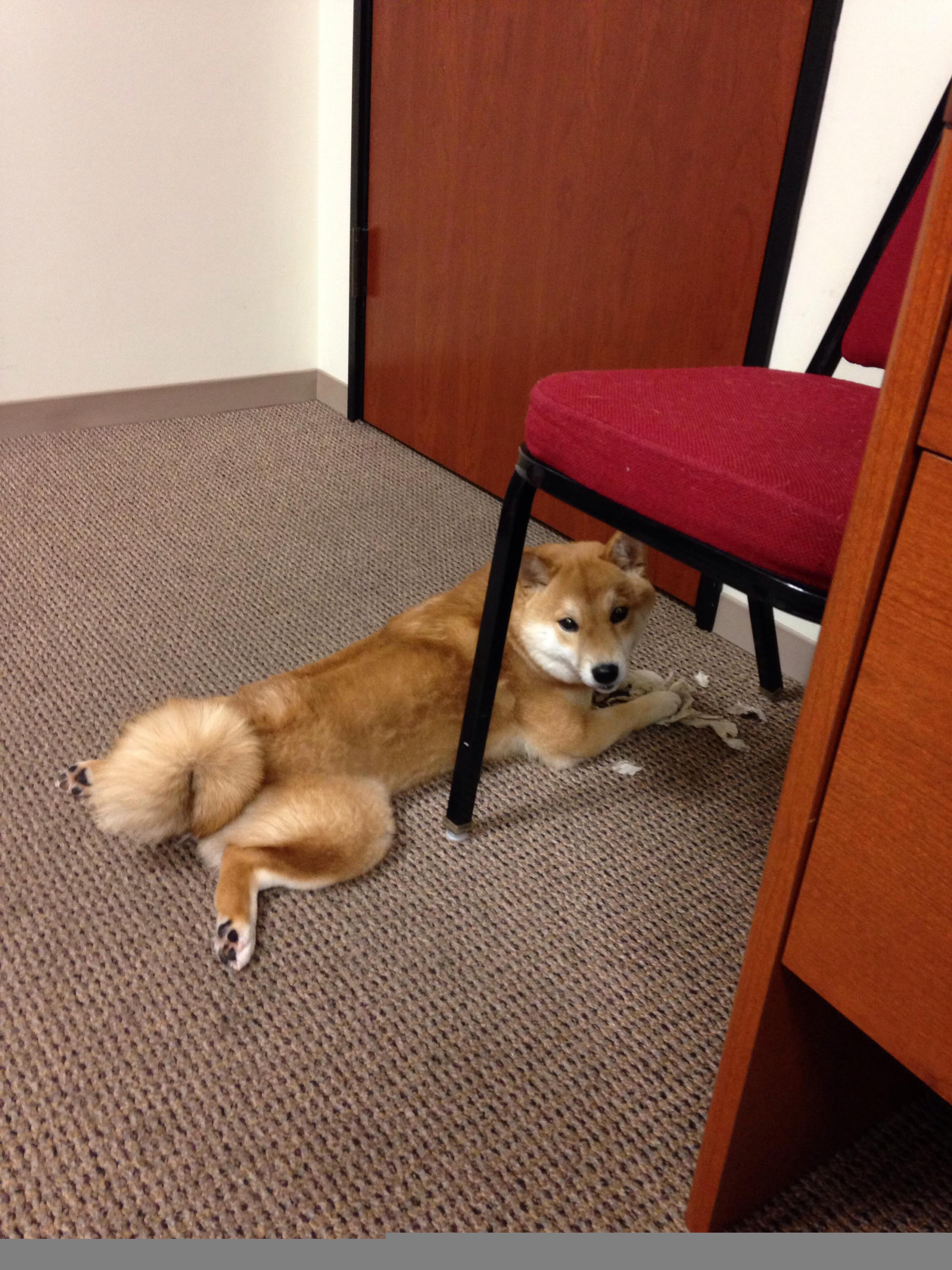 跨次元对决，浓眉擎天柱，一场虚构盛宴中的真实统治力