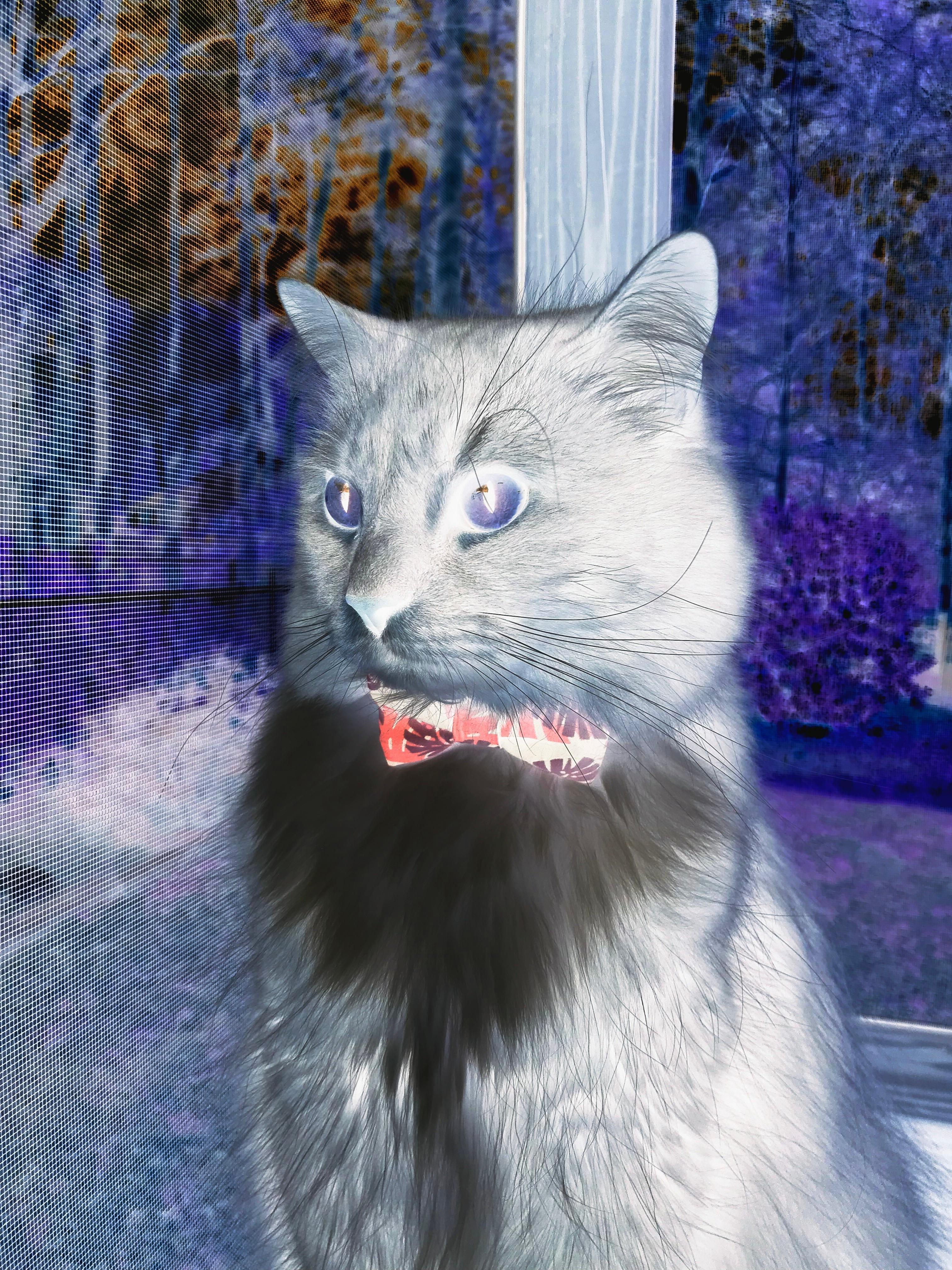 开云体育APP下载-赛场即疆场，当足球的矛头遇上篮球的疆界