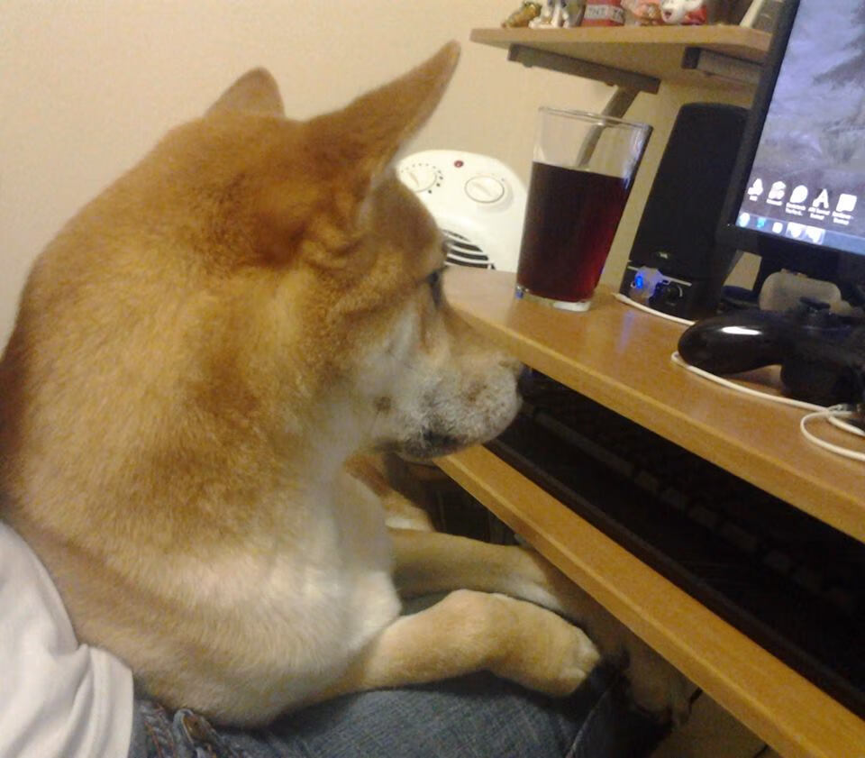 开云体育中国-萨卡封神之战！澳大利亚补时绝杀安哥拉，提前锁定2026世界杯十六强席位