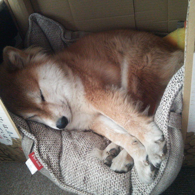 开云-恩比德雷霆首秀弑旧主！关键先生降临终结湖人连胜