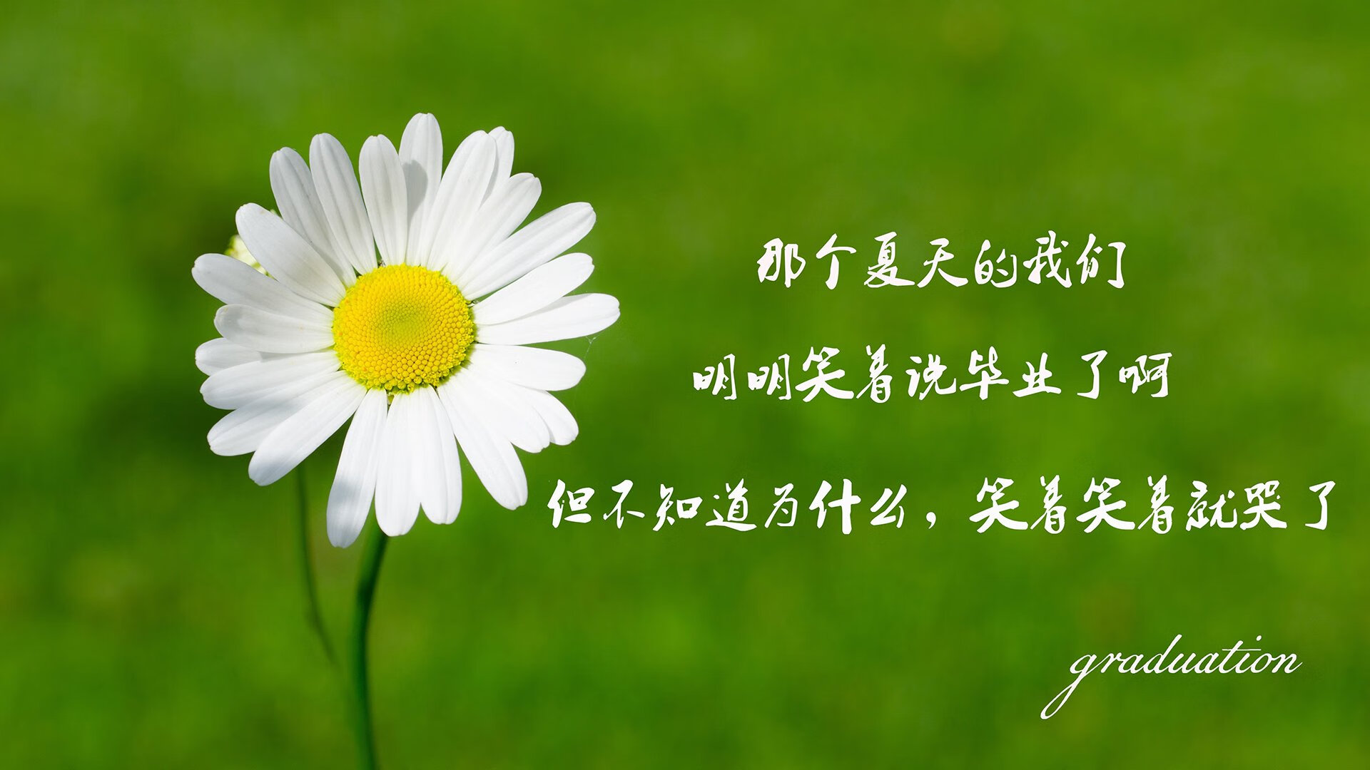 神话之夜,伊萨克以太阳神之姿,照亮哥伦比亚历史性八强之路