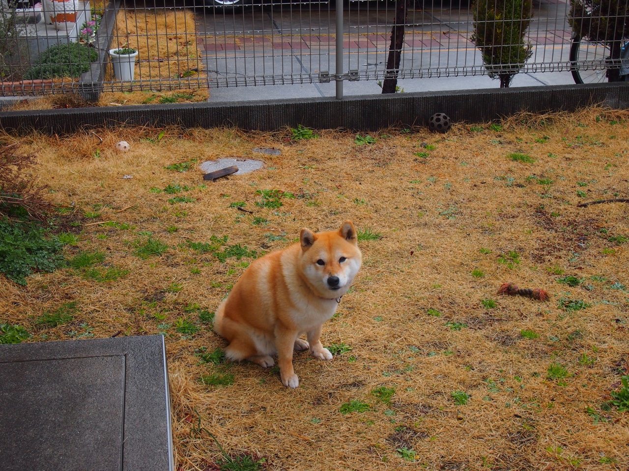 本泽马的关键先生本色，英格兰完美收割波兰