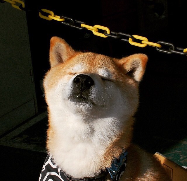 跨界大乱斗，当罗马军团碾过哥斯达黎加，加克波在F1赛道完成史诗接管