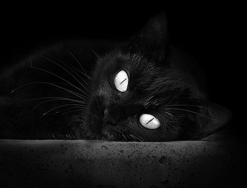 抢七终章，聚光灯只为他倾斜