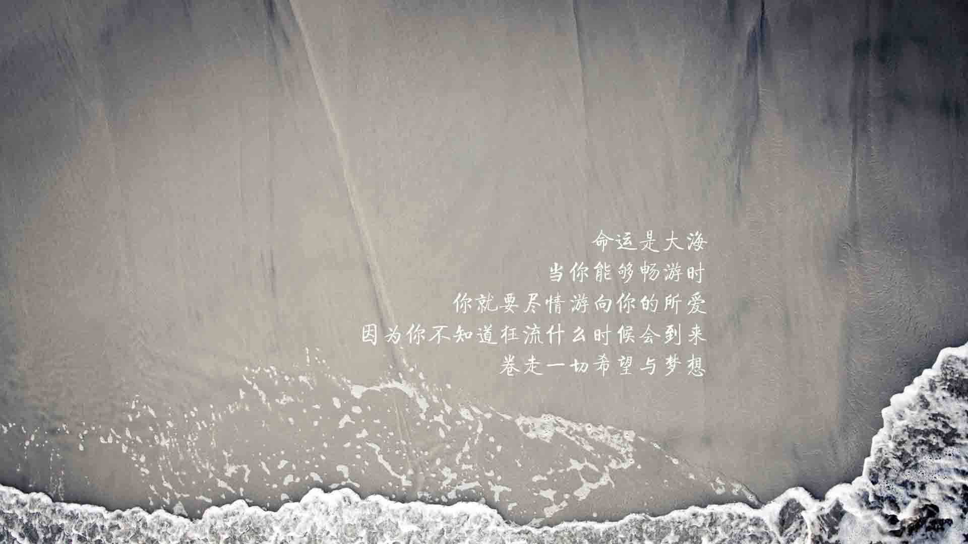 默契如诗，横扫如风，2026世界杯D组关键战，意大利与德布劳内演绎唯一性传奇