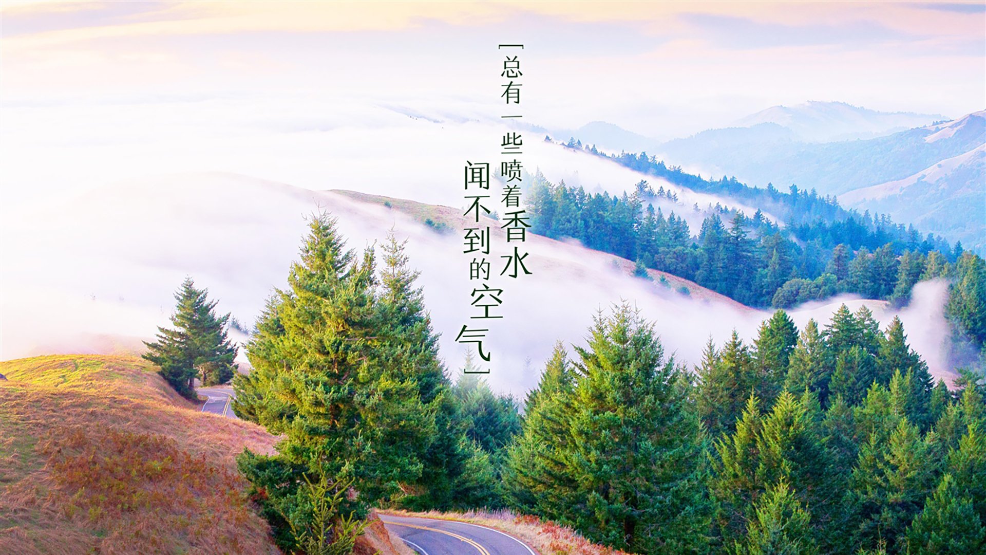 孤星闪耀,2026世界杯,久保建英的绝唱与塞尔维亚的铁血救赎
