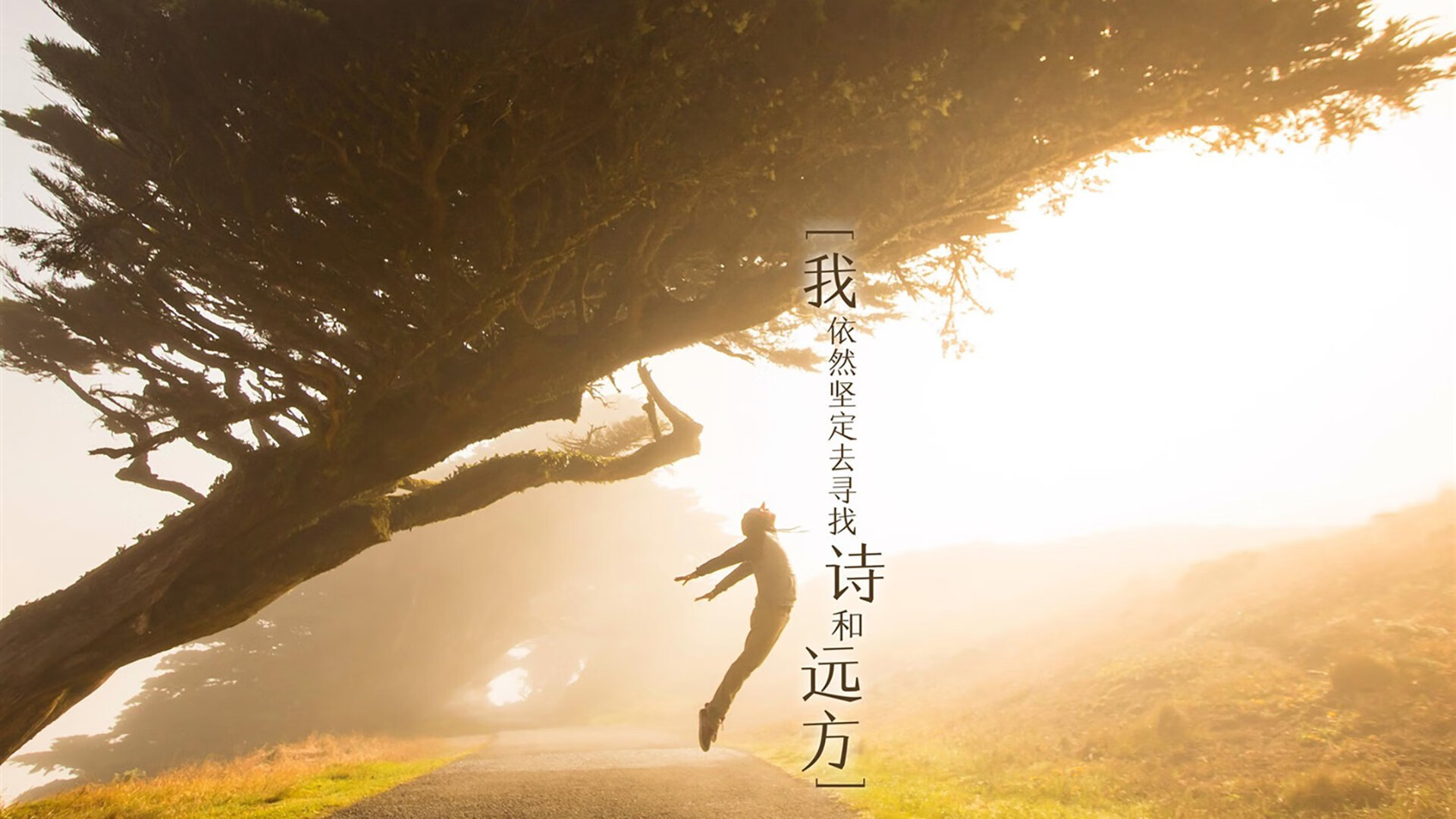 蓝白陨落之夜,2026,当葡萄牙的浪潮淹没梅西的最后一舞,与那个名叫久保建英的亚洲幽灵